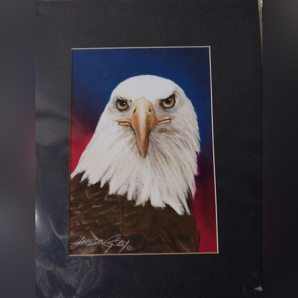 Bald Eagle print - Picture 11 of 15